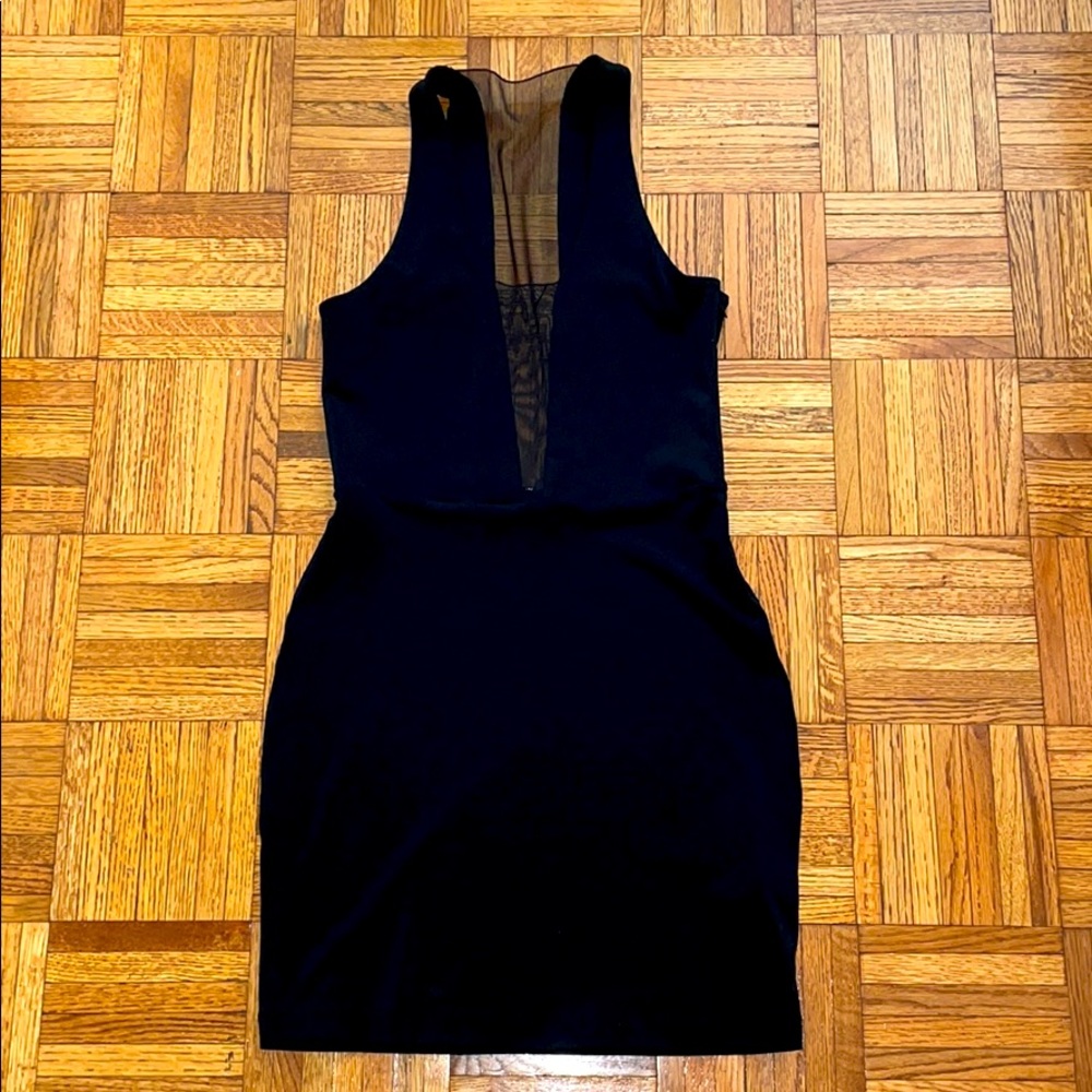 Elizabeth and James fitted mesh dress